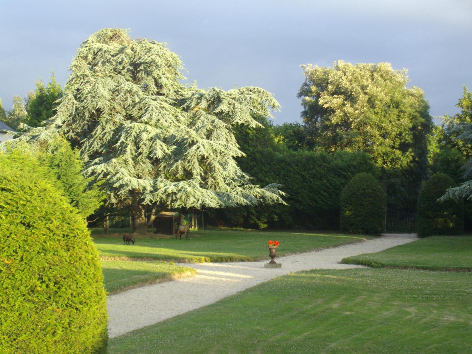Manoir De La Baronnie Bed & Breakfast Saint-Malo Dış mekan fotoğraf